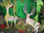 ANIMALS KINGDOM ACTIVITY 06-04-2019 25.jpg